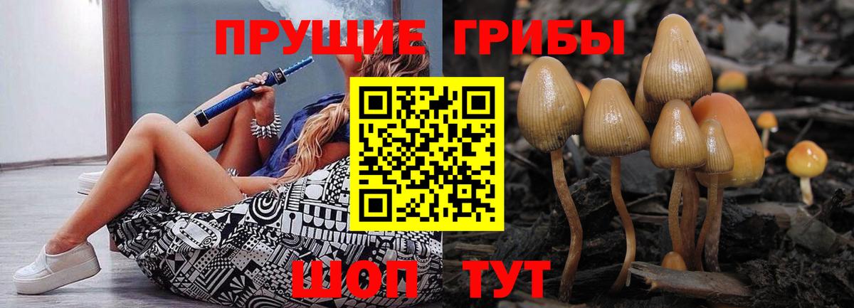 Старая Купавна  Псилоцибиновые грибы Magic Shrooms  как найти   Вход с VPN 